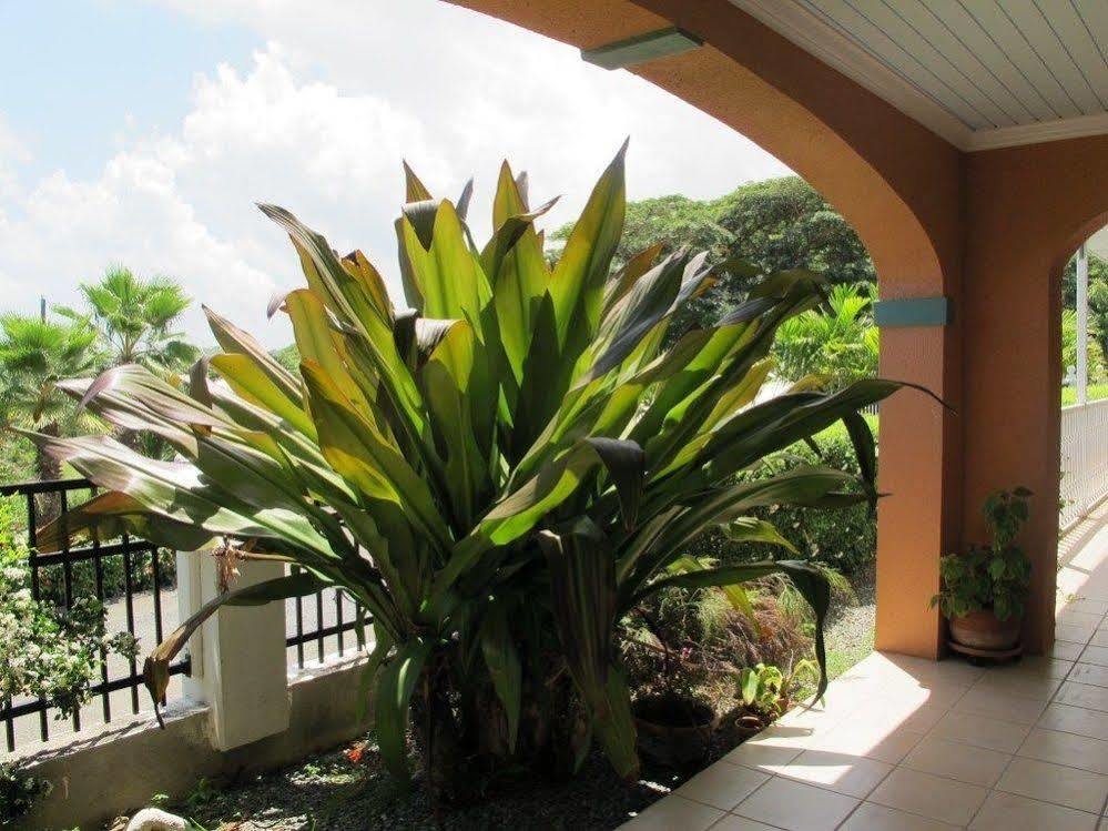 The Cove Hotel St Croix La Grande Princesse Esterno foto
